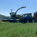 WhatsApp Image 2026-04-02 at 16.54.25