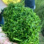 WhatsApp Image 2026-04-02 at 16.54.56