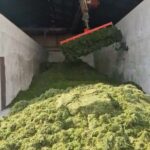 WhatsApp Image 2026-04-02 at 16.57.54